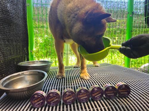 슬라이드 이미지