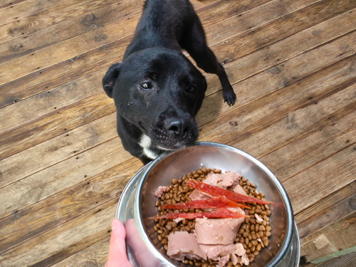 슬라이드 이미지