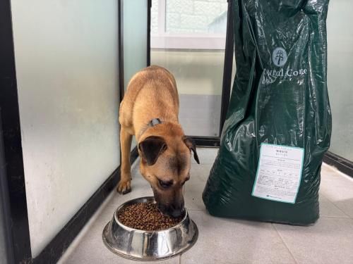 슬라이드 이미지