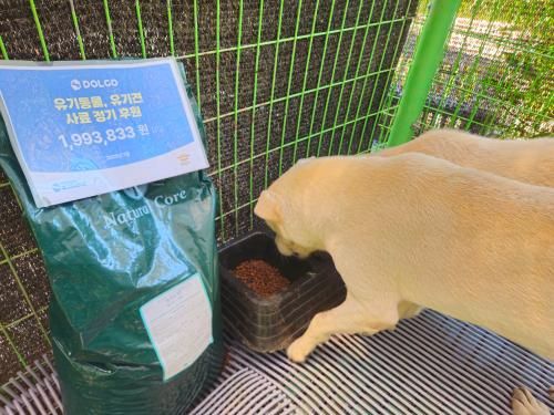 슬라이드 이미지