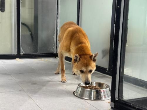 슬라이드 이미지