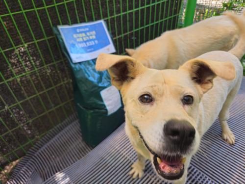 슬라이드 이미지