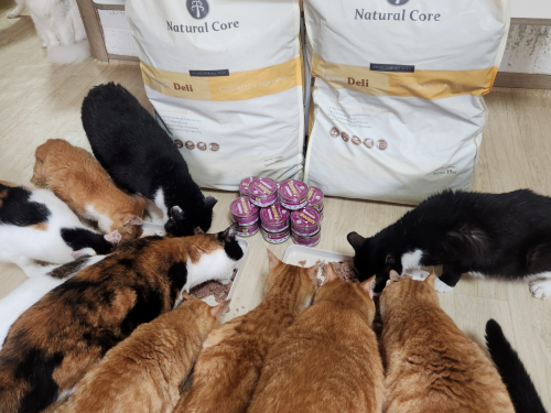 슬라이드 이미지