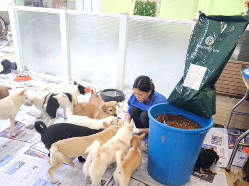 슬라이드 이미지