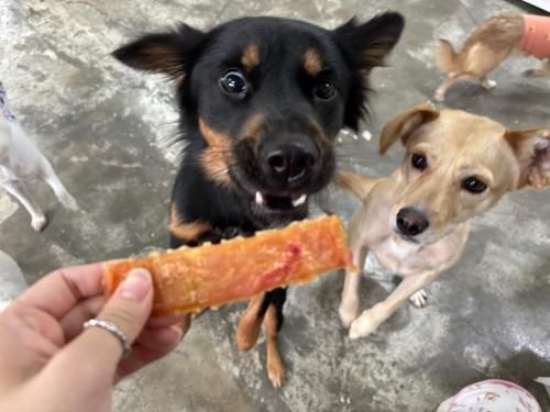 슬라이드 이미지