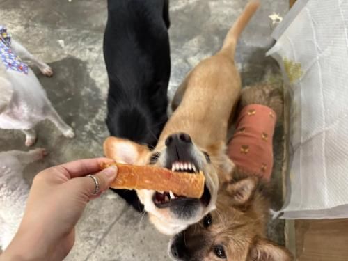 슬라이드 이미지