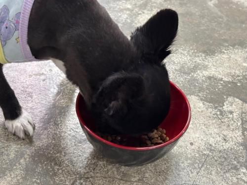 슬라이드 이미지