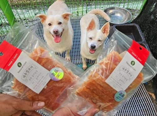 슬라이드 이미지