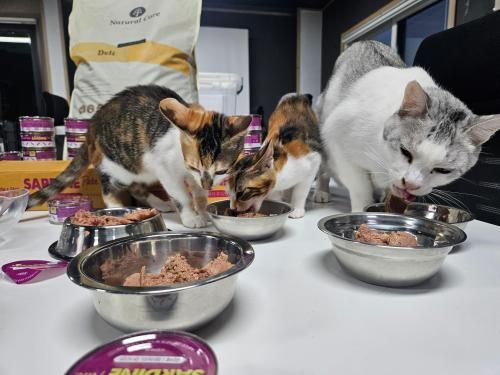 슬라이드 이미지