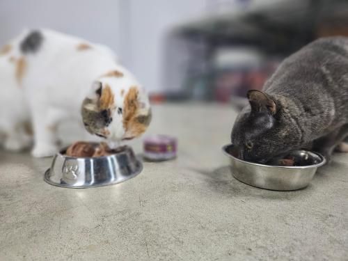 슬라이드 이미지