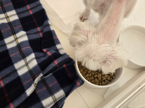 슬라이드 이미지