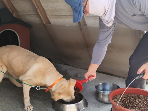 슬라이드 이미지