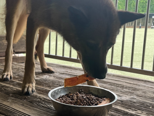 슬라이드 이미지