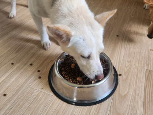 슬라이드 이미지