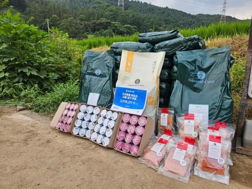 슬라이드 이미지