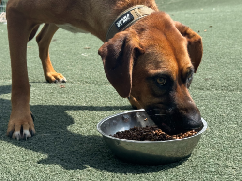 슬라이드 이미지