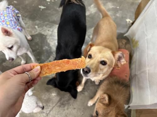 슬라이드 이미지