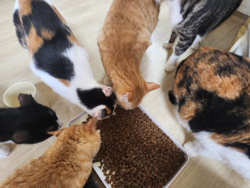 슬라이드 이미지