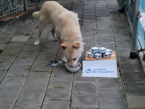 슬라이드 이미지