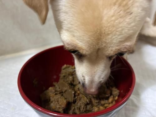 슬라이드 이미지