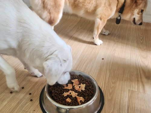 슬라이드 이미지