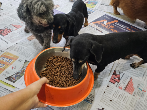 슬라이드 이미지