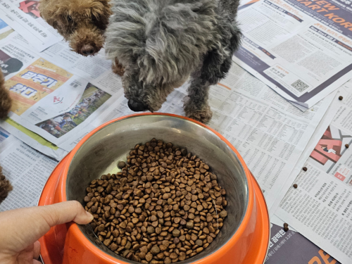 슬라이드 이미지