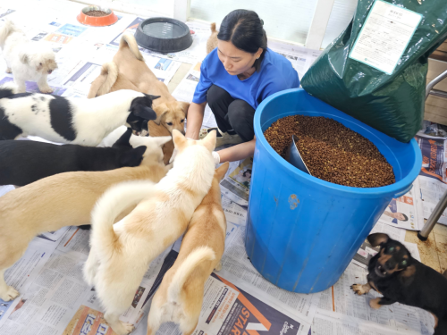 슬라이드 이미지