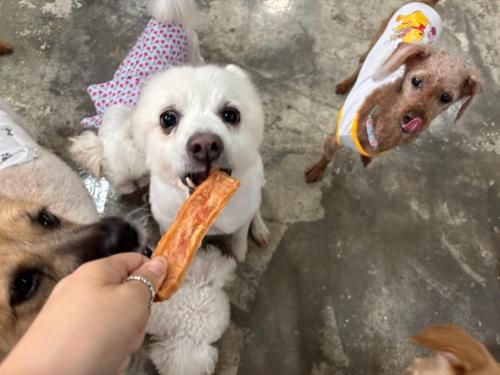 슬라이드 이미지