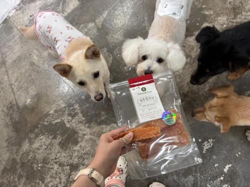 슬라이드 이미지