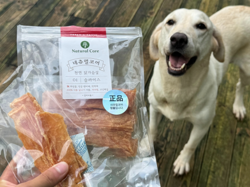 슬라이드 이미지