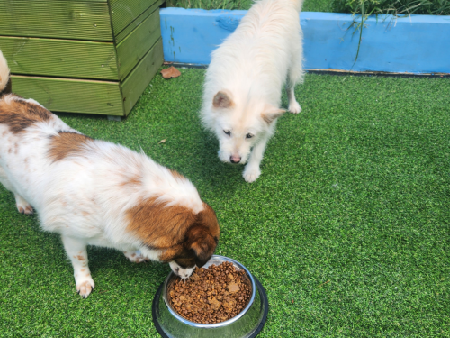 슬라이드 이미지