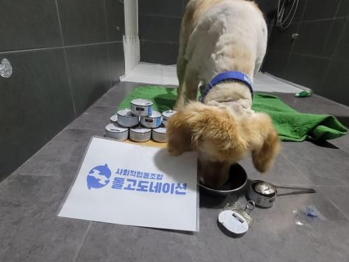 슬라이드 이미지