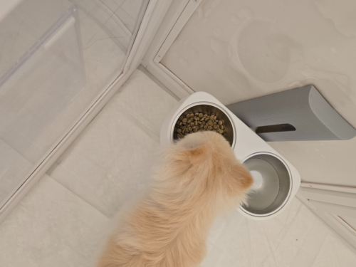 슬라이드 이미지