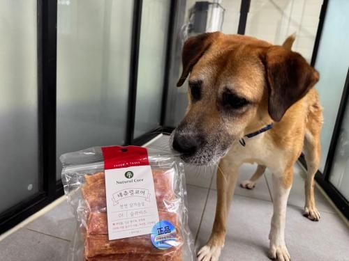 슬라이드 이미지