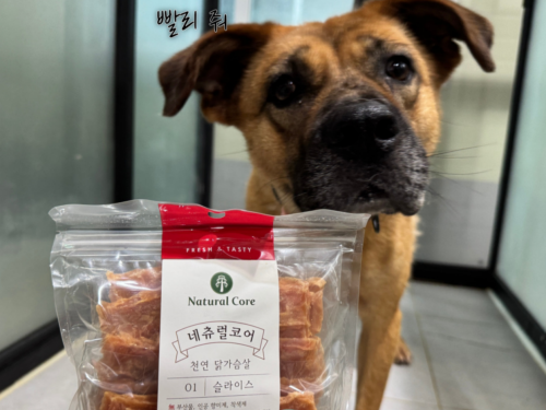 슬라이드 이미지