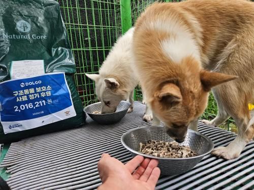 슬라이드 이미지