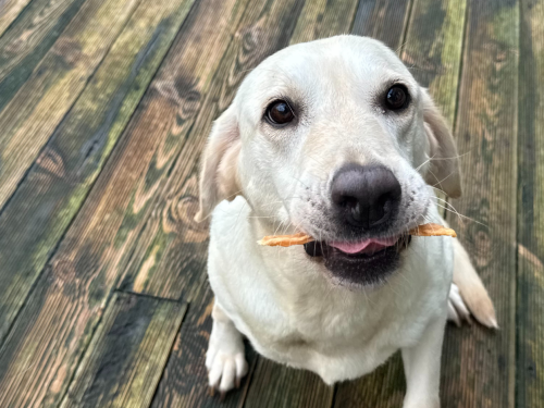 슬라이드 이미지