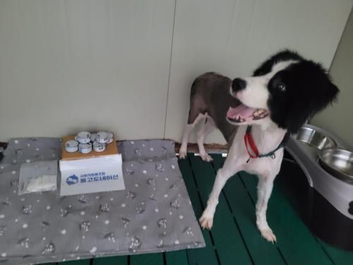 슬라이드 이미지