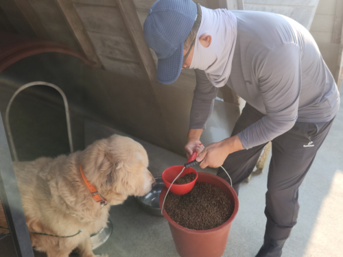 슬라이드 이미지