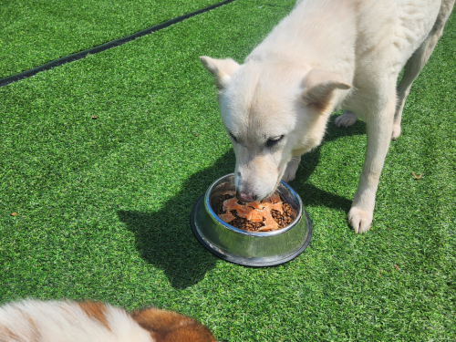 슬라이드 이미지