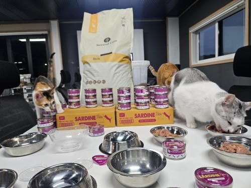 슬라이드 이미지