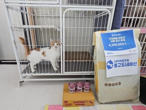 슬라이드 이미지