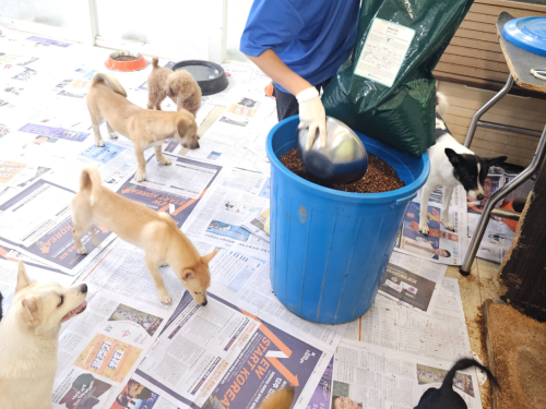 슬라이드 이미지