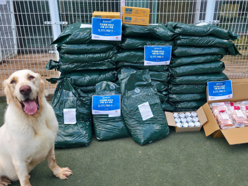 슬라이드 이미지