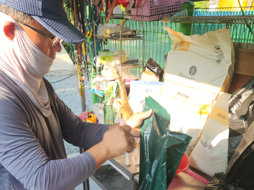 슬라이드 이미지