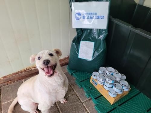 슬라이드 이미지