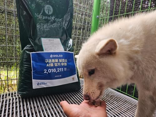 슬라이드 이미지