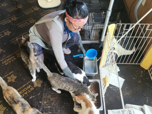 슬라이드 이미지