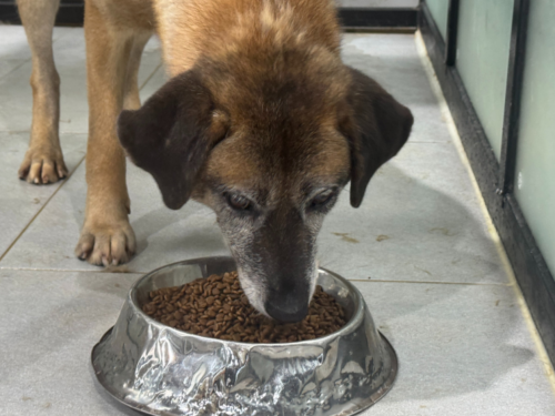 슬라이드 이미지